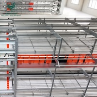 Systèmes d'élevage de poulets pondeuses en cage libre en acier galvanisé avec équipement d'alimentation automatique et de retrait des excréments