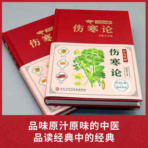 カラーイラスト総合コレクション 伝統中国医学古典作品 発熱性疾患処方（モデル） - Product Image 3