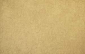 Placa de acero inoxidable decorativa personalizada Placa de color de metal Placa de acero inoxidable impermeable texturizada - Product Image 3