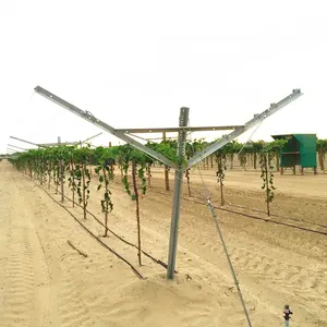 Durable Galvanized Steel Metal Table Grape Plantation Y Shape Open Gable Trellis System Post Stakes