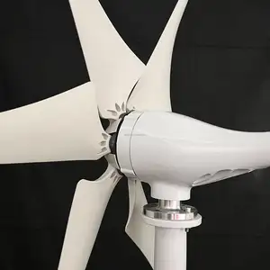 Windturbine 1000W Horizontale As Windgenerator 12V 24V 48V Pmg Dynamo Windturbines Generator Controller Voor Thuis