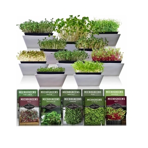 Cao cấp 10 gói microgreens vườn kit bao gồm dưa hấu củ cải và Red acre bắp cải và nhiều hơn nữa - Product Image 2