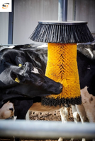 Brosse de massage et de nettoyage électrique pour vaches, état neuf, garantie 1 an, équipement d'élevage de qualité industrielle en PP/Nylon