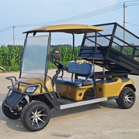 Voitures de golf électriques 2 places, buggy 4x4, batterie lithium 48V/72V, voiture de patrouille électrique, éclairage de golf