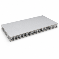 Panneau en nid d'abeille en aluminium gris argenté scintillant personnalisé pour revêtement mural intérieur