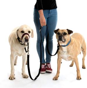 Maglia di cotone guinzaglio del cane, a sei vie Europeo-stile multifunzionale guinzaglio del cane - Product Image 4