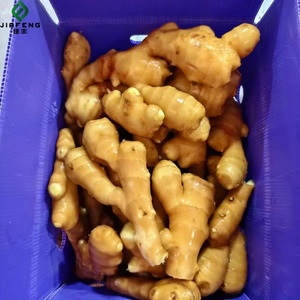 Gừng giá tại Trung Quốc Kích thước 150 g-giá bán buôn Trung Quốc trang trại phát triển cây trồng mới gừng tươi - Product Image 5