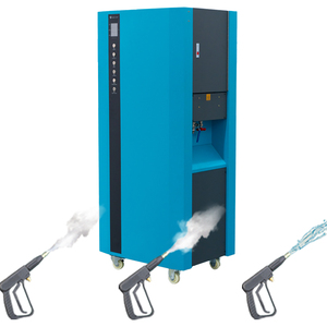 220V ahorrar agua dos vapor armas Limpiador de vapor para venta de equipos de lavado de coches proveedor - Product Image 1