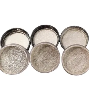 Cosray Großhandel Ray shine Silver Coated Series Perl glanz pigment für Lidschatten Make-up Reflective Glitter