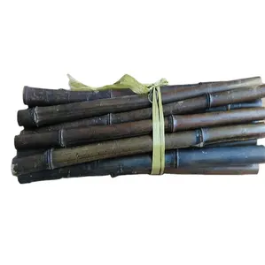 Tongkat Poles Bambu Hitam Antik