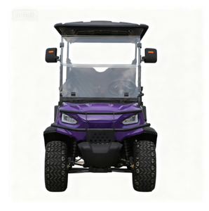 Performances puissantes + conduite confortable : un chariot de golf pratique et haut de gamme - Product Image 2