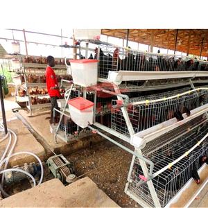 뜨거운 판매 아프리카 세미 자동 레이어 케이지 닭 공급 가금류 농장 장비 가격 케냐 잠비아 남아프리카 - Product Image 6