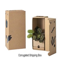 Boîte cadeau en papier rigide avec couvercle et base, emballage de luxe pour plantes succulentes, recyclable, respectueux de l'environnement, avec logo personnalisé en relief OMT