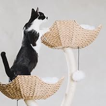 En gros Arbre à chat griffoir en bois tressé en forme d'arbre - Product Image 4