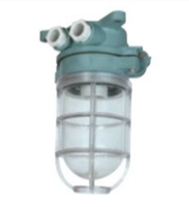 Proveedor de Piezas Marinas Sinooutput, Lámpara de Trabajo Modelo <span class=keywords><strong>DS7</strong></span>-2M, Potencia 60W, Voltaje 220V, Portalámparas FE26, Personalizable - Product Image 1
