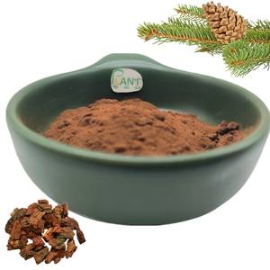 Extrait d'écorce de pin de haute qualité, naturel, 95% de proanthocyanidines, extrait d'écorce de pin maritime français 95% OPC, poudre de proanthocyanidines - Product Image 4