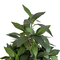 120cm hohe Simulation künstliche Pflanze gefälschte Bonsai-Pflanze Faux Laurel Bay Tree künstlicher Baum für Innendekoration