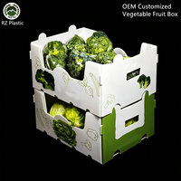 Boîte en PP ondulé pour légumes (choux, brocoli) – Emballage pliable, qualité alimentaire, fournisseur OEM, conteneur en panneau alvéolaire PP personnalisé