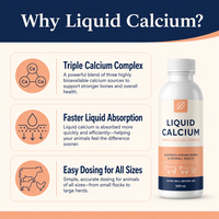 Supplément Triple Calcium pour Chiens – Croissance Osseuse – Sirop de Calcium Liquide Oral – Absorption Facile – Dosage Simple – 120ml – Marque Privée