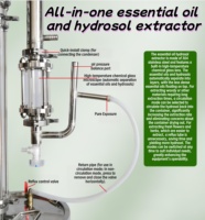 Distillateur d'huiles essentielles, équipement de distillation à la vapeur, acier inoxydable 304, utilisation domestique, machine d'extraction d'herbes et de fleurs