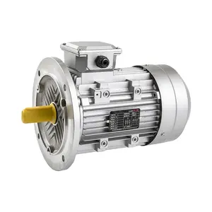 Y2 Seri Induksi Tiga Fase Brushless 3-Phase AC Motor Listrik untuk Mengemudi Motion