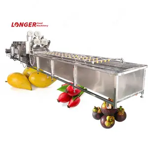 CE Rosehip Berries Washer Mangosteen Cleaning Line Tiesa Fruit Washing Machine