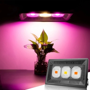 LED Éclairage Professionnel 50W 100W 150W AC110V 220V LED Réflecteur Lampe Jardin Lampe Froide <span class=keywords><strong>Blanc</strong></span> Chaud UV D'inondation Élèvent La Lumière - Product Image 6