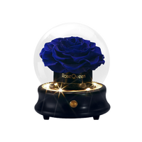 Coffrets de Cadeaux de Luxe Boîte à Musique Bluetooth à Lumière LED pour la Saint-Valentin, Fleur Éternelle pour Toujours, Rose Préservée dans un Dôme en Verre