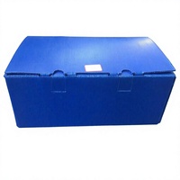 Plaque en PP bleu de 3 mm d'épaisseur, plaque en plastique ondulée creuse avec certification ISO 9001, 1m*1m
