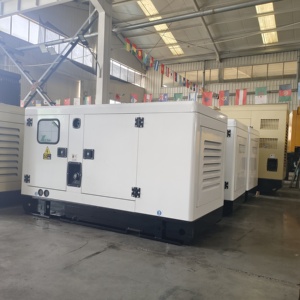 Generador Diésel Ricardo Blanco de 60kw 75Kva, Silencioso, 75 Decibeles, Automatización ATS MTS, Corriente Trifásica, 50HZ/60HZ 380V/220V - Product Image 6