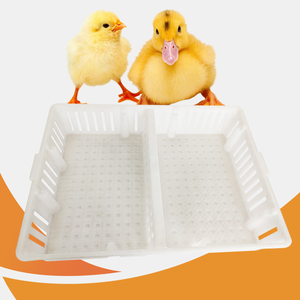 LZ Factory direct sale high quality 1400MM day old chicks transport boxes