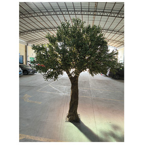 Albero di Ulivo Artificiale Grande Fatto a Mano in Plastica, 5,5 Metri di Altezza, 4,5 Metri di Larghezza, Ecologico e Realistico per la Casa - Product Image 4