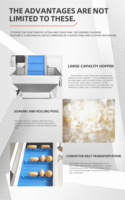 Fabrieksaanpasbare reinigingsmachine borstel wortelgroenten en fruit wortel radijs gember wasmachine met weektank