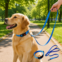 Ensemble collier et laisse pour chien en polypropylène de couleur unie, boucle à dégagement rapide, kit de traction réglable pour chiens de petite, moyenne et grande taille