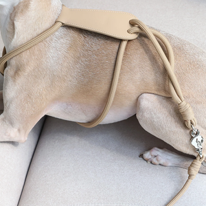 Nouveau design harnais réglable en nylon léger sans traction pour chien harnais pour chien en cuir essentiel pour la marche - Product Image 5