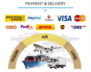 Placa de Desarrollo S2 Mini V1.0.0 ESP32-S2 con 4MB FLASH y Kit WIFI para Prototipado e Innovación - Product Image 5