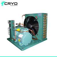 CRYO SYSTEMS Unité de réfrigération pour chambre froide Unité de condensation à basse température Unité de congélation Équipement de stockage à froid Machine