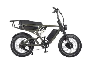 Excellent Dual 1000W Motors 52V 15+20AH Batteries Ebike DNM Mid Suspension Matt Green Custom Logo Electric Fat Tire Bike