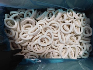 Nhà sản xuất X365 bán buôn vòng mực đông lạnh, vòng mực khổng lồ đã nấu chín, vòng mực Ấn Độ Dương, phủ lớp bóng 40% - Product Image 4