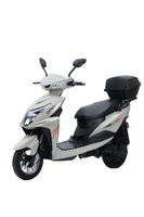 Scooter Eléctrico con 9 Tubos, Controlador Súper Silencioso, Frenos de Disco Delanteros y Traseros, para Ocio en el Parque