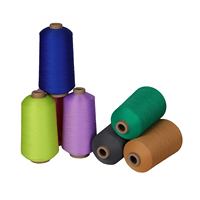 High Quality Dyed 100% Polyester Fancy Yarn Anti-Bacteria Eco-Friendly DTY Yarn for Knitting Fabric