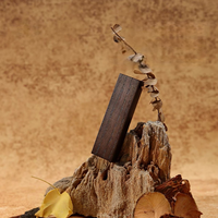 Diffuseur de parfum pour voiture en bois massif, personnalisable avec logo, écologique, vente en gros OEM