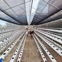 Systèmes de culture hydroponique NFT, serre, système hydroponique complet NFT pour la culture de la laitue en intérieur
