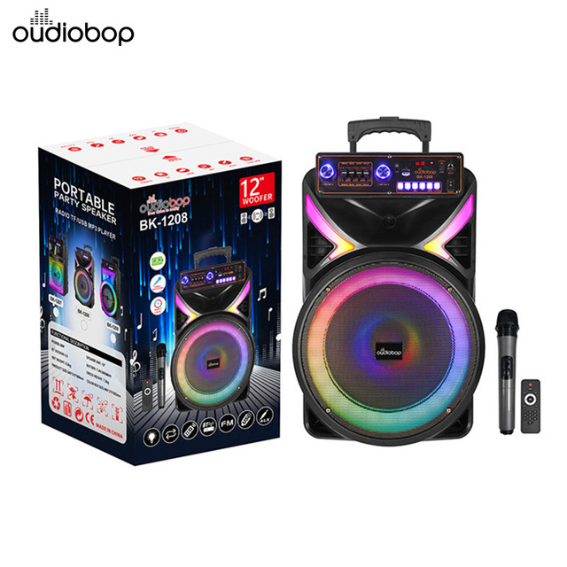 12-Inch  Karaoke Outdoor Trolley Speaker with Wireless Mic, Payment Broadcast, LED Display, FM, USB/TF, TWS, Party