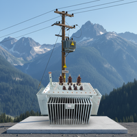 Transformateur électrique à huile à enroulement en cuivre S11-315kVA, fiable et longue durée de vie