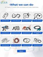 Bộ kết nối 2 chiều DT06-2S với khóa Wedgelock W2s và dây dẫn Pigtail 12 inch 14AWG