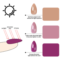 Nouveau type 2026, faux ongles à pression à changement de couleur selon la température, 24 pièces, forme amande, couleur nude