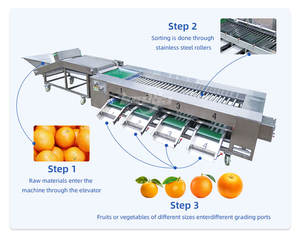 Máquina Clasificadora Automática para Limones, Naranjas, Tomates, Aguacates, Plátanos, Arándanos y Tomates Cherry, Máquina de Secado y Clasificación para Limones - Product Image 4