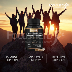 FocusHerb Complément Naturel 9 Organes de Bœuf Nourri à l'Herbe (Foie, Cœur, Reins, Cerveau, Thym, Poumon, Rate, Vésicule Biliaire) en Capsules - Product Image 6
