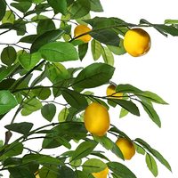 Leverancier Groothandel Multi Size Kunstmatige Citroenboom Kunstmatige Planten Groene Citroenboom Voor Thuis Bruiloft Hoteldecoratie